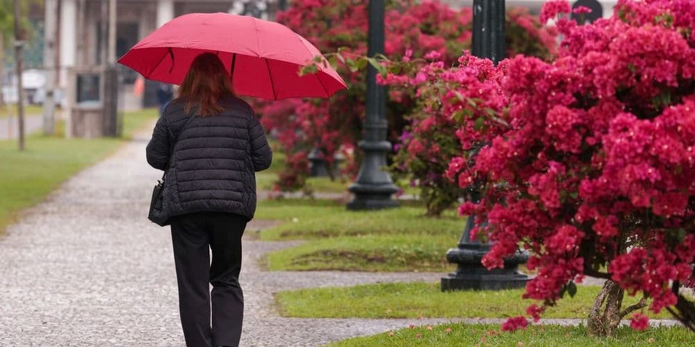 Novembro começa com chuva, mas sol aparece com mais frequência na segunda quinzena