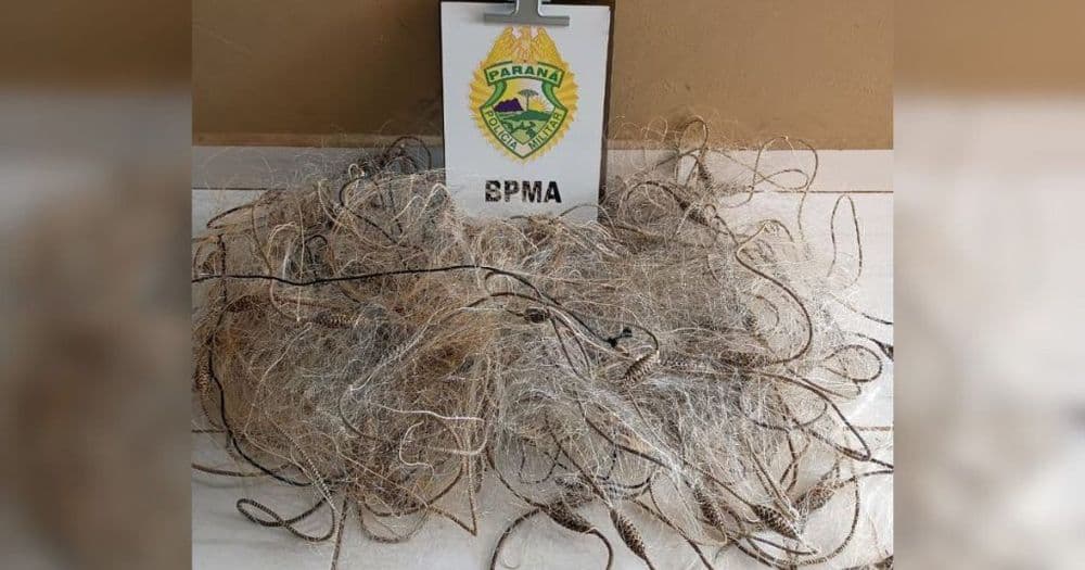 Pescador é preso por pesca irregular no Rio Iguaçu e multado em R$ 2.520