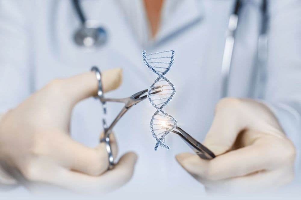 Fundação Araucária investe R$ 3 milhões em Data Lake para pesquisa genômica em Guarapuava