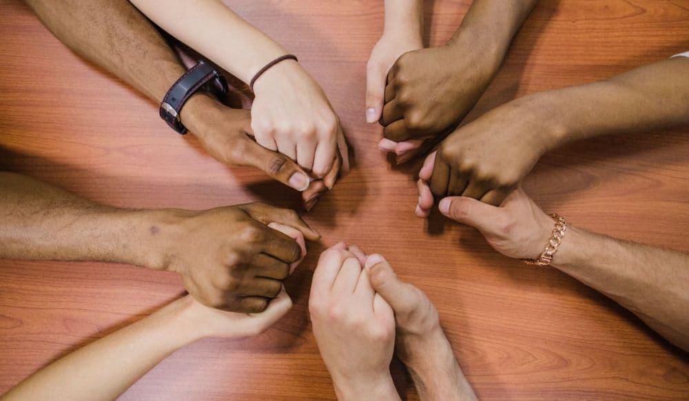 Assembleia de Santa Catarina aprova fim de cotas raciais em universidades estaduais