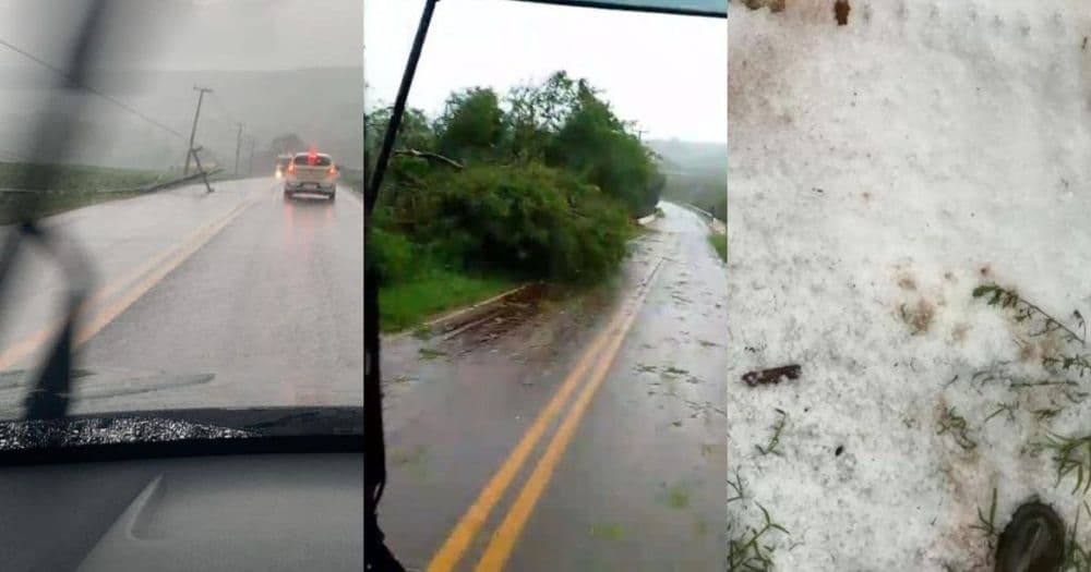 Temporais com ventos fortes e granizos causam estragos no Paraná