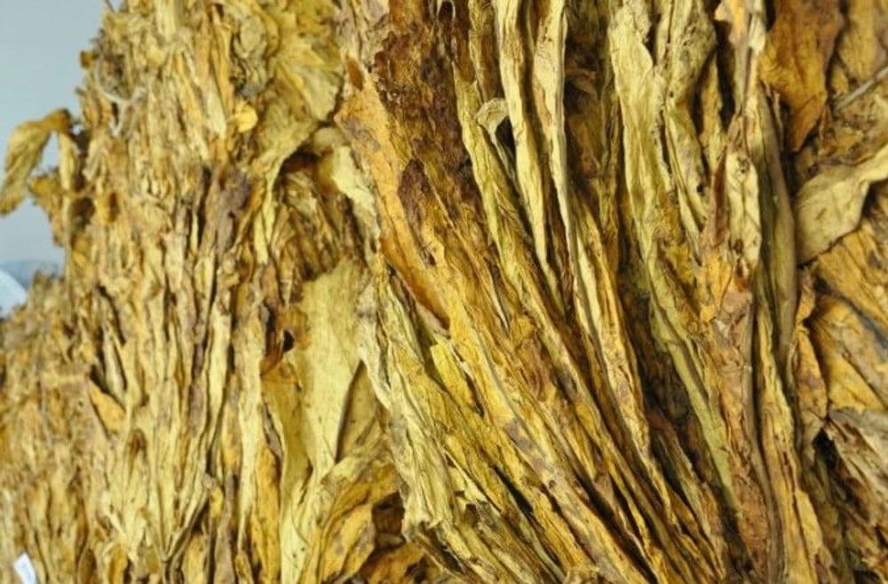 Preço do tabaco entra em pauta nos dias 19 e 20 de janeiro