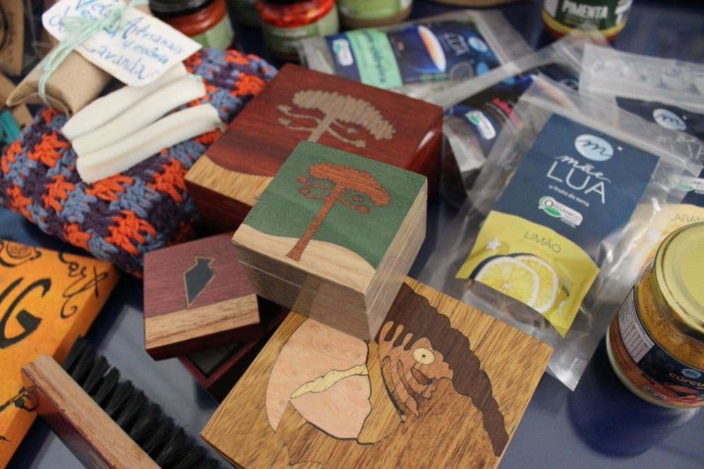 Parceria do Paraná com a Shopee tem 30 novos produtores capacitados