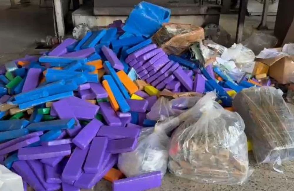 PCPR incinera cerca de 700 quilos de drogas em Irati