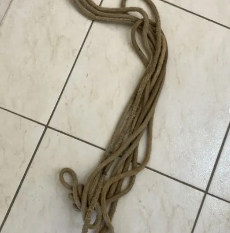 Alerta: jovem é preso por induzimento ao suicídio envolvendo adolescente de 12 anos