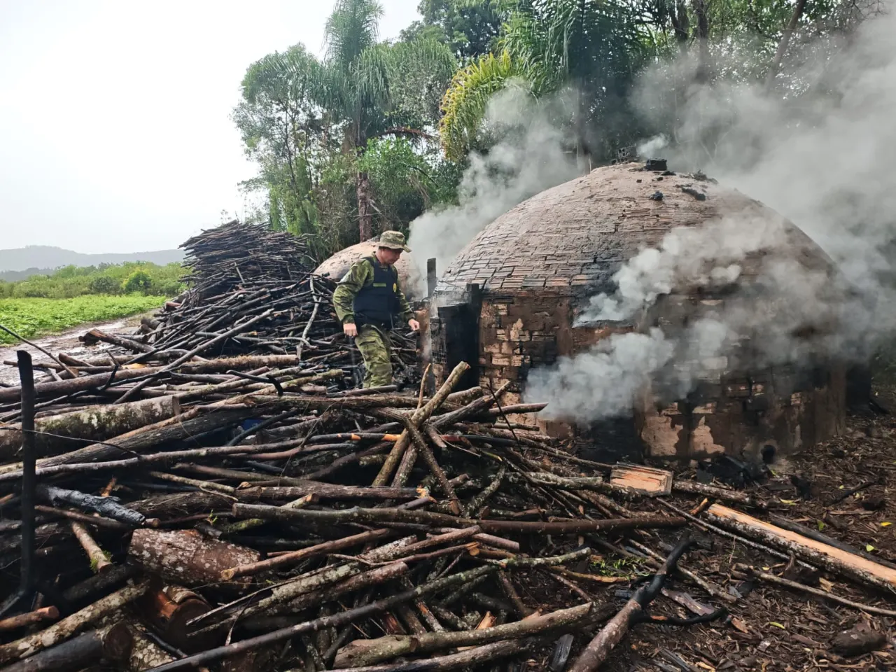 Polícia Ambiental flagra produção ilegal de carvão em Inácio Martins