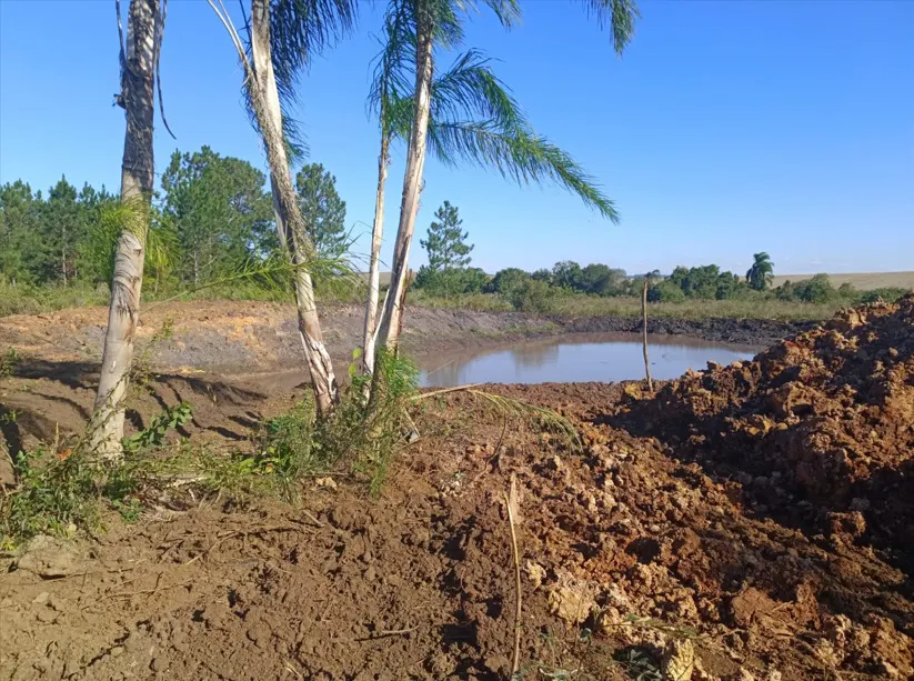 Polícia Ambiental flagra desmatamento em área de banhado e aplica multa em Irati